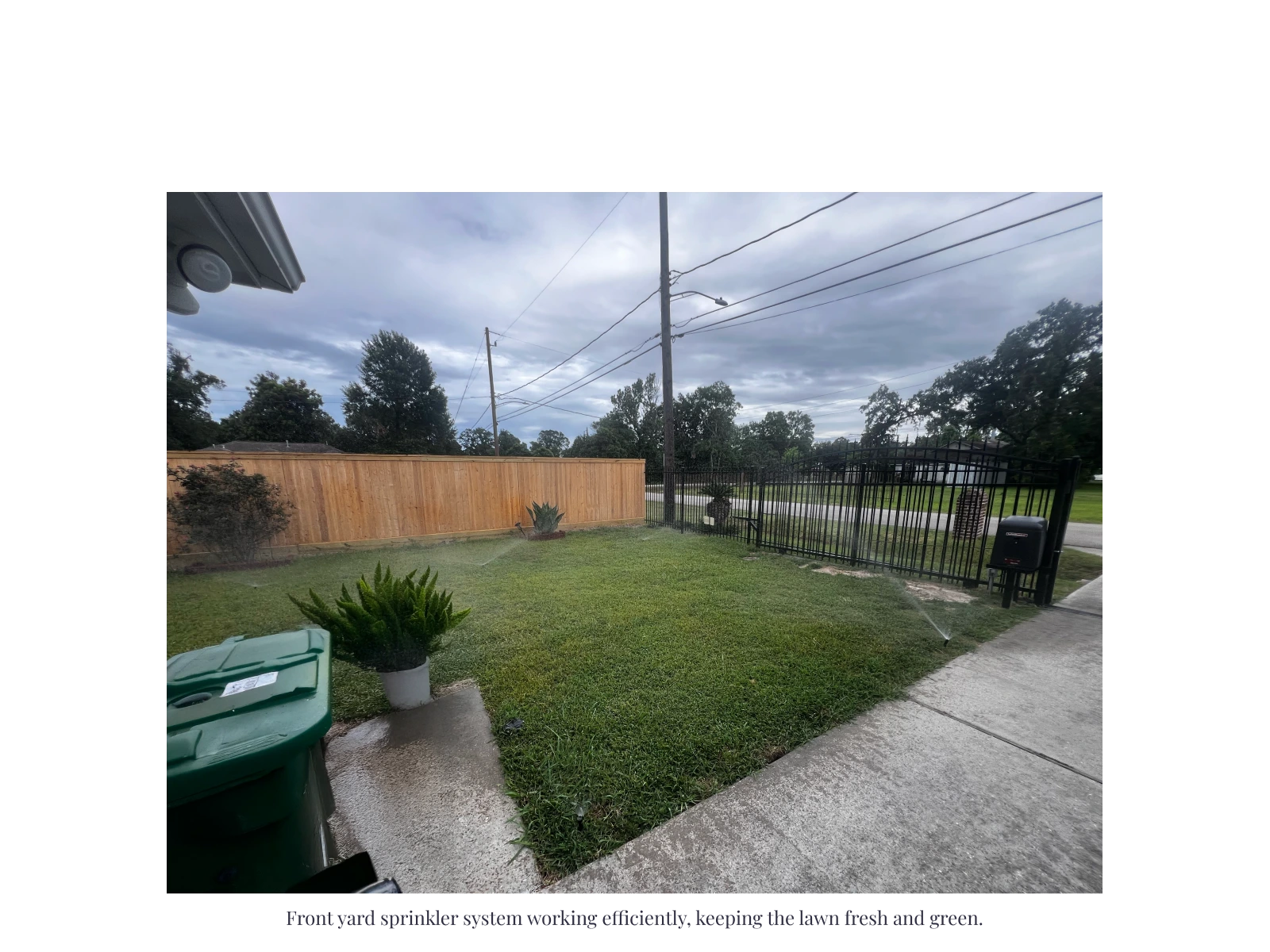 Front yard sprinkler system working efficiently, keeping the lawn fresh and green.